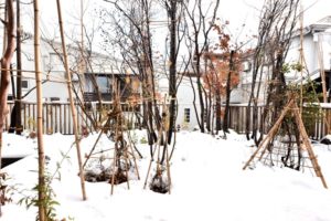 「初雪」