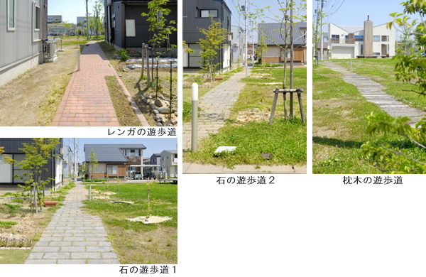 幅1.5mの遊歩道