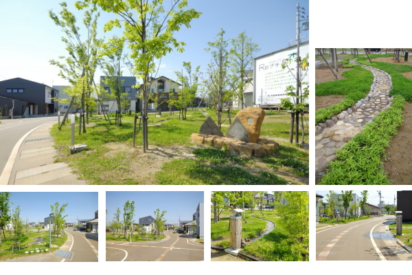 リプチの森の中心にある公園