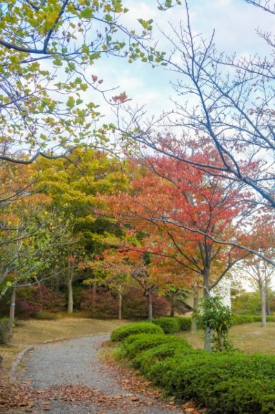 鳥屋野潟公園の紅葉