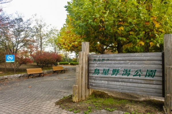 鳥屋野潟公園の紅葉