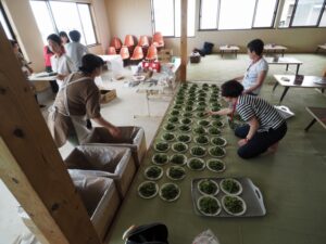 高田建築事務所イベントのBBQ