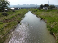 豪雨対策:太田川の川底さらいで大雨に対応