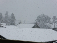 長岡も一気に雪景色!