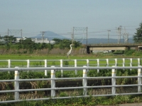 朝の仕事は朝礼から始まる。朝の散歩は鳥鈴から始まる。