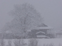 常在戦場:豪雪地帯から見る1m積雪の不思議