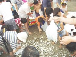 2002 築縁会(新潟) in 網代浜