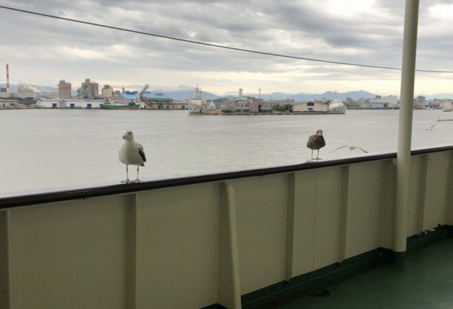 海を渡った先には🚢