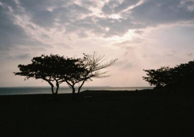 フィルムカメラで撮った風景