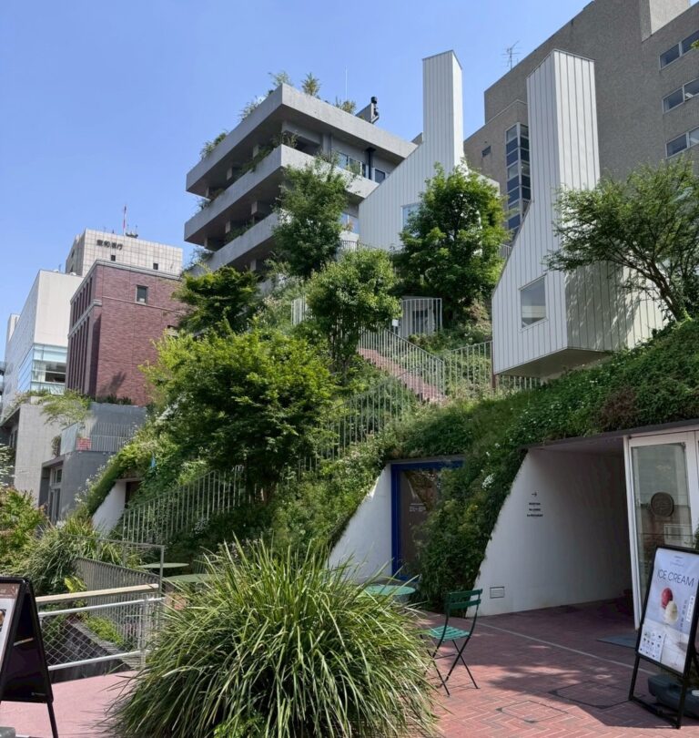 白井屋外観